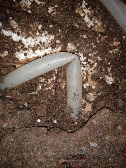 顺平堵点精准查找